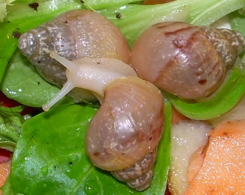 DSCN8824_2.JPG