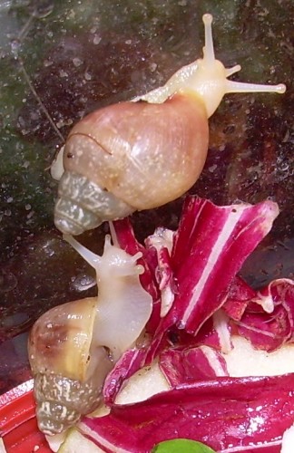 DSCN8855_2.JPG