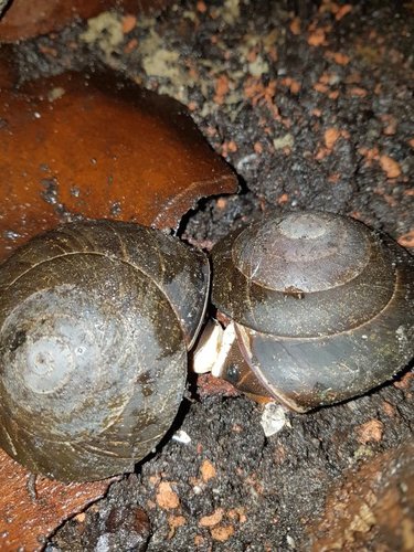 20170814_122033.jpg