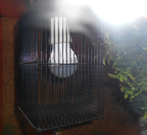 lampe.jpg
