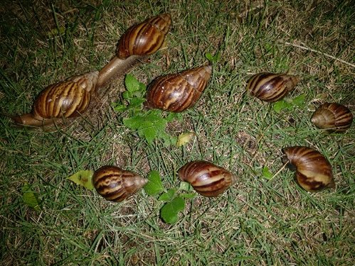 IMG_20170716_231020.jpg