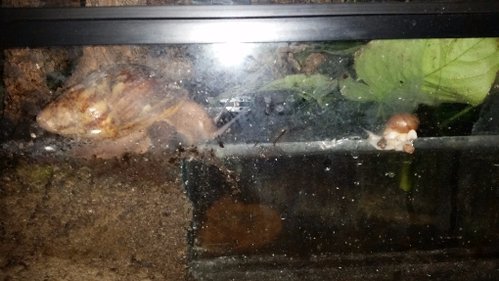 20170927_214908.jpg