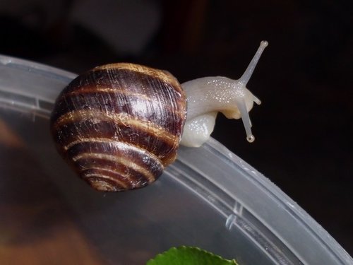 20171003_6374.jpg