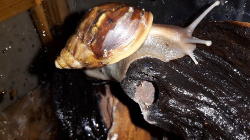 20171115_234630.jpg