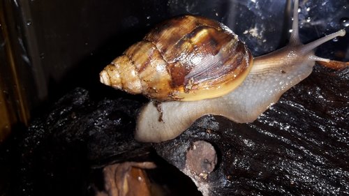 20171115_234707.jpg