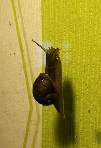 IMG_20180126_080647.jpg