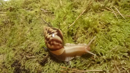 IMG-20171125-WA0007.jpg