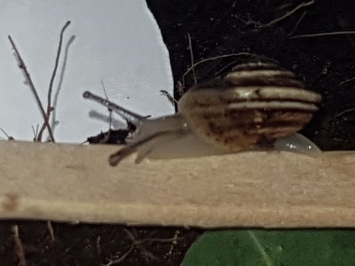 20180216_130022.jpg