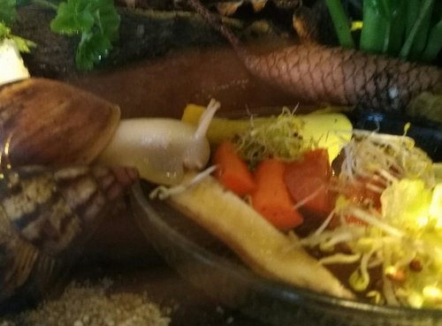 IMG_20180301_110938.jpg