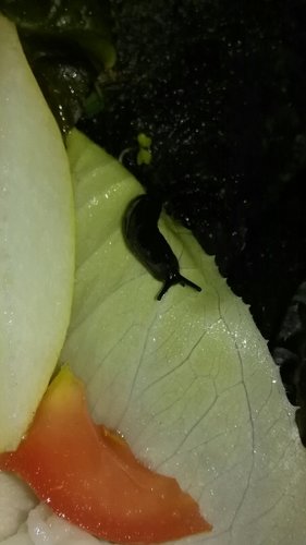IMG_20180319_094659.jpg