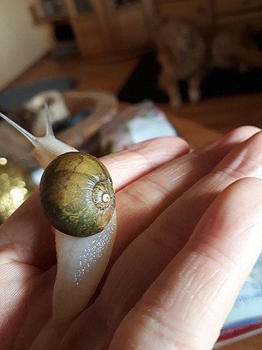 20180328_164938.jpg