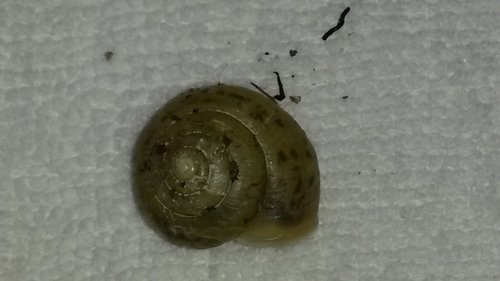 20180409_163831.jpg