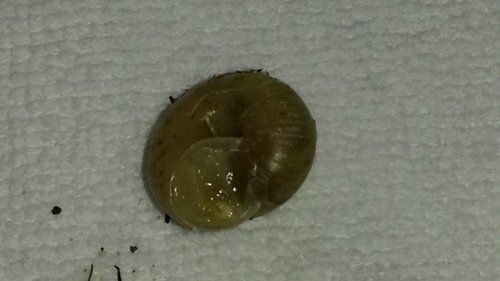 20180409_163846.jpg