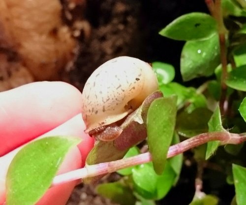 _20180317_191556.JPG