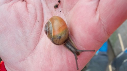 20180423_162513.jpg