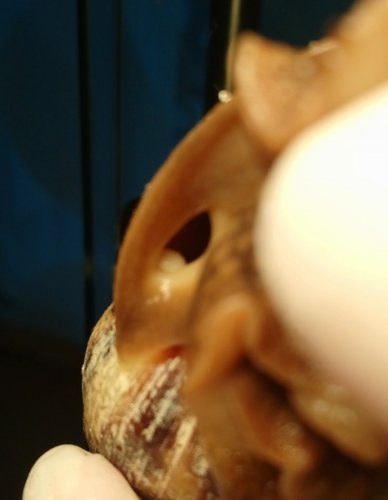 _20180524_201442.JPG