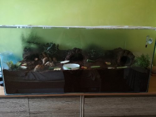 IMG_20180524_183904.jpg