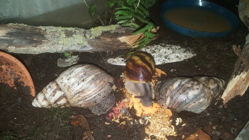20180706_175943.jpg