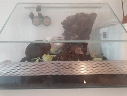 20180717_181010.jpg