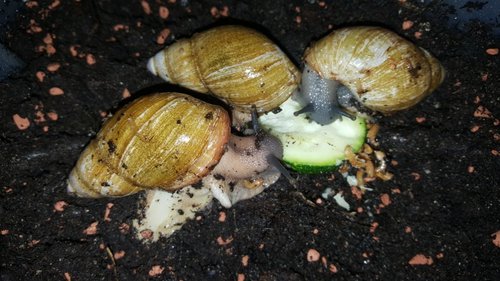 20180716_160017.jpg