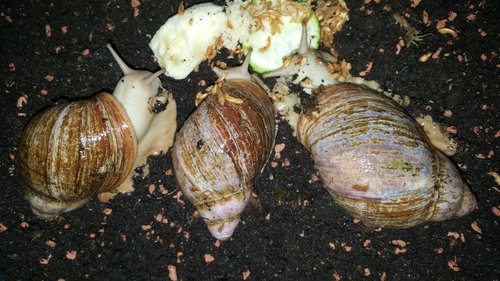 20180716_155728.jpg