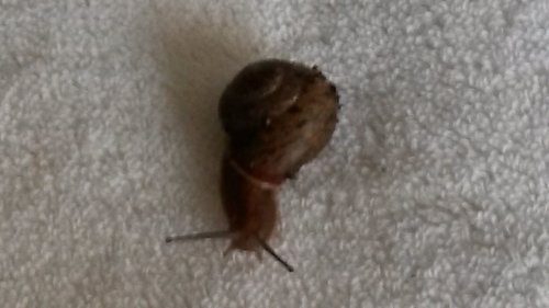 20180721_155627.jpg
