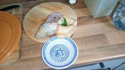 IMG-20180729-WA0004.jpeg