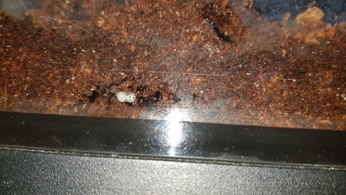 20180812_184457.jpg
