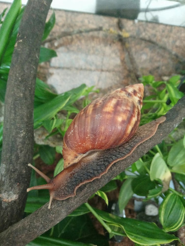 DSC_2085.JPG
