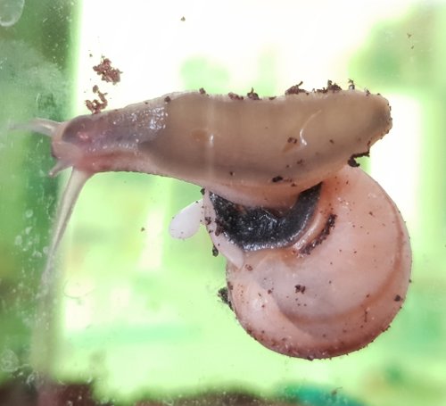 20180829_101716.jpg