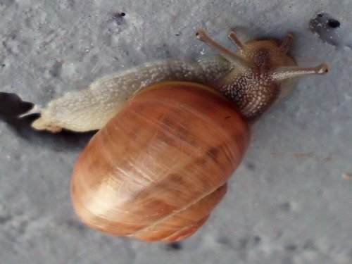 20181001_2966a.jpg