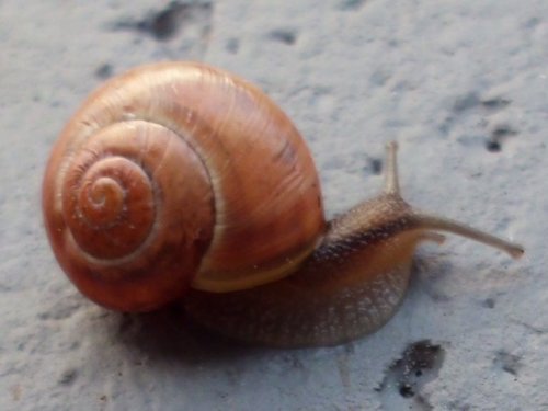 20181001_2967a.jpg