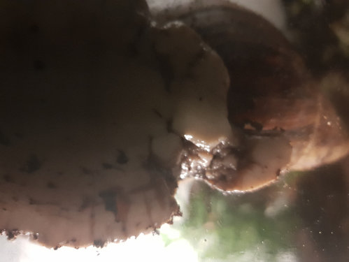 20181021_224545.jpg