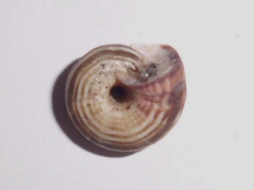 20181012_3500a.jpg