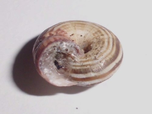 20181012_3502a.jpg