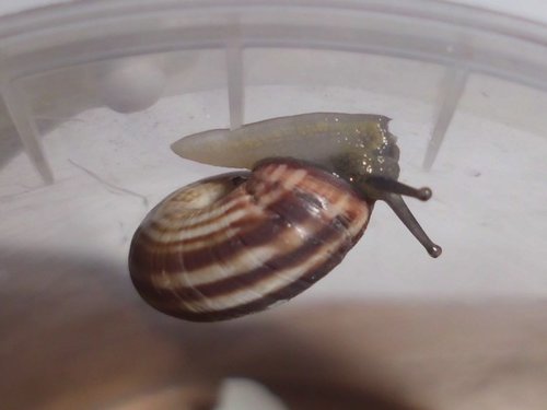 20181012_3504.jpg
