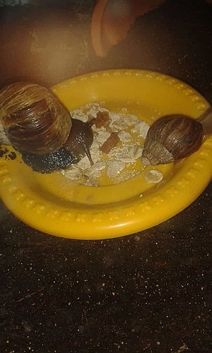 IMG-20181028-WA0052.jpg