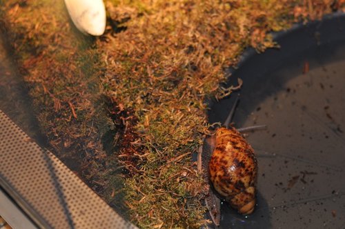 DSC_0089.JPG