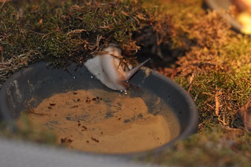 DSC_0002.JPG
