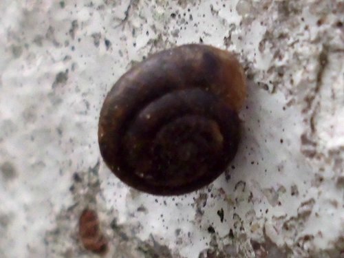 20181026_3711a.jpg
