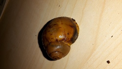 20181107_165408.jpg