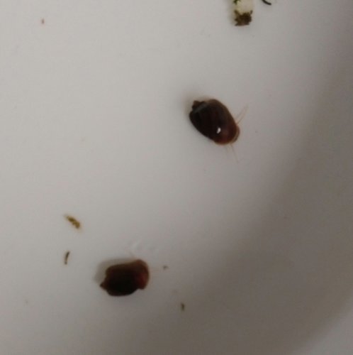 _20181104_122311.JPG