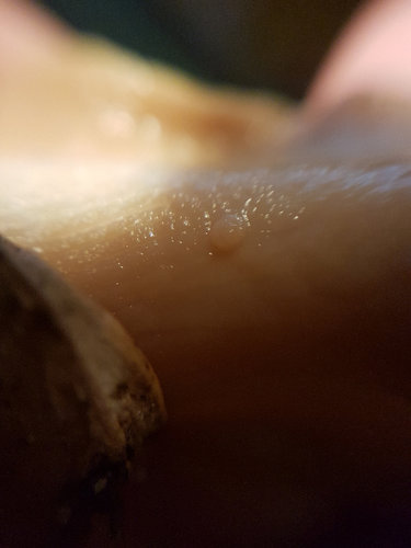 20181215_101236.jpg