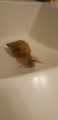 20181230_174754.jpg