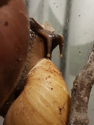 20181130_230710.jpg