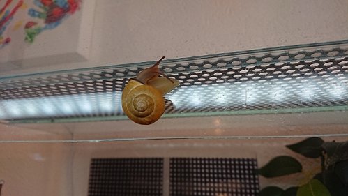 DSC_0668.JPG