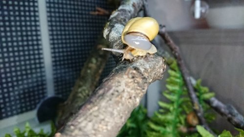 DSC_0990.JPG