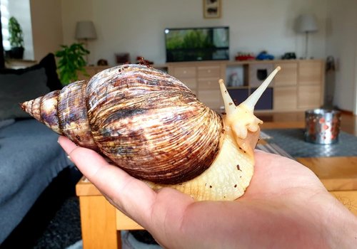 20190414_162735.jpg