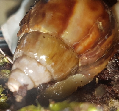 20190416_083657.jpg