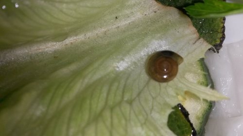 20190511_220724.jpg
